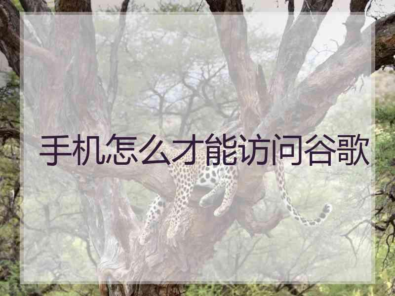 手机怎么才能访问谷歌